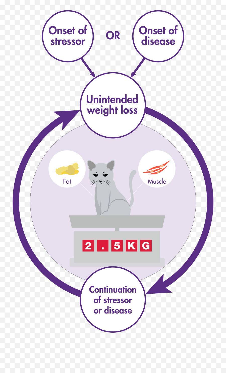 Pin On Jasmine Health - Mirtazapine Catsmechanism Of Action Emoji,Thyroid Medication And Emotions