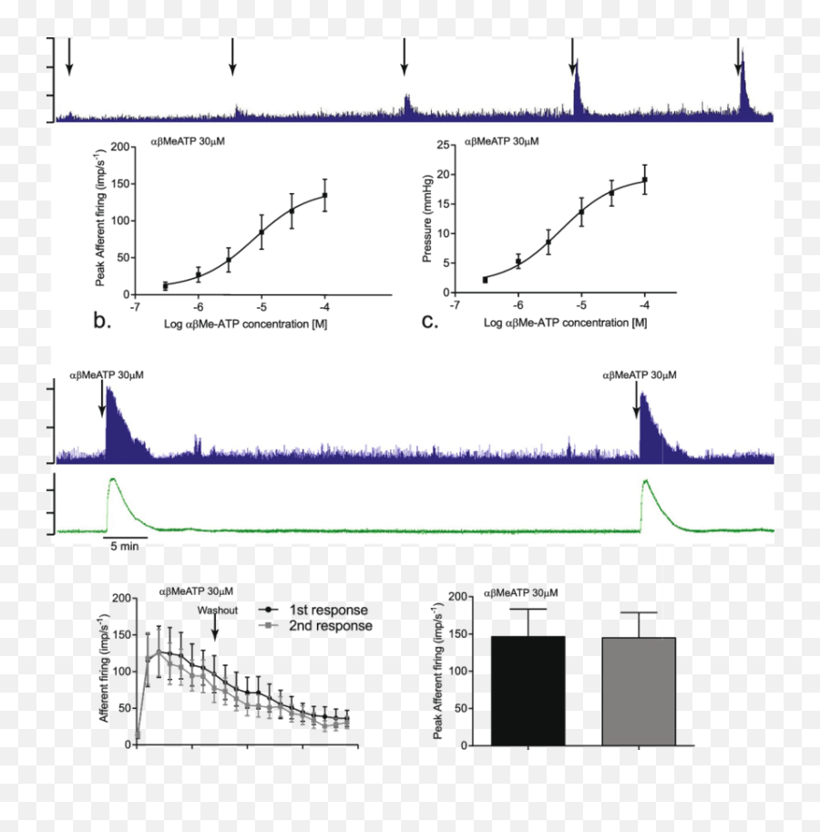 Bladder Afferent Nerves Respond To Me - Plot Emoji,Neurosensory Processing Mechanisms On Emotions