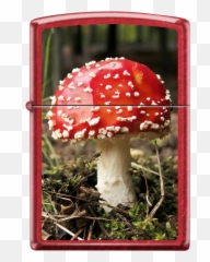 Zippo Lighter - Mushroom Zippo Emoji,Iphone Mushrooms Emoji
