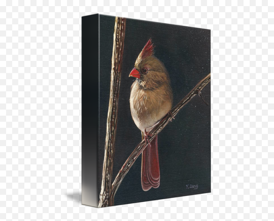 Original Oil Painting Of Female - Picture Frame Emoji,Cardinal Bird Facebook Emoticon