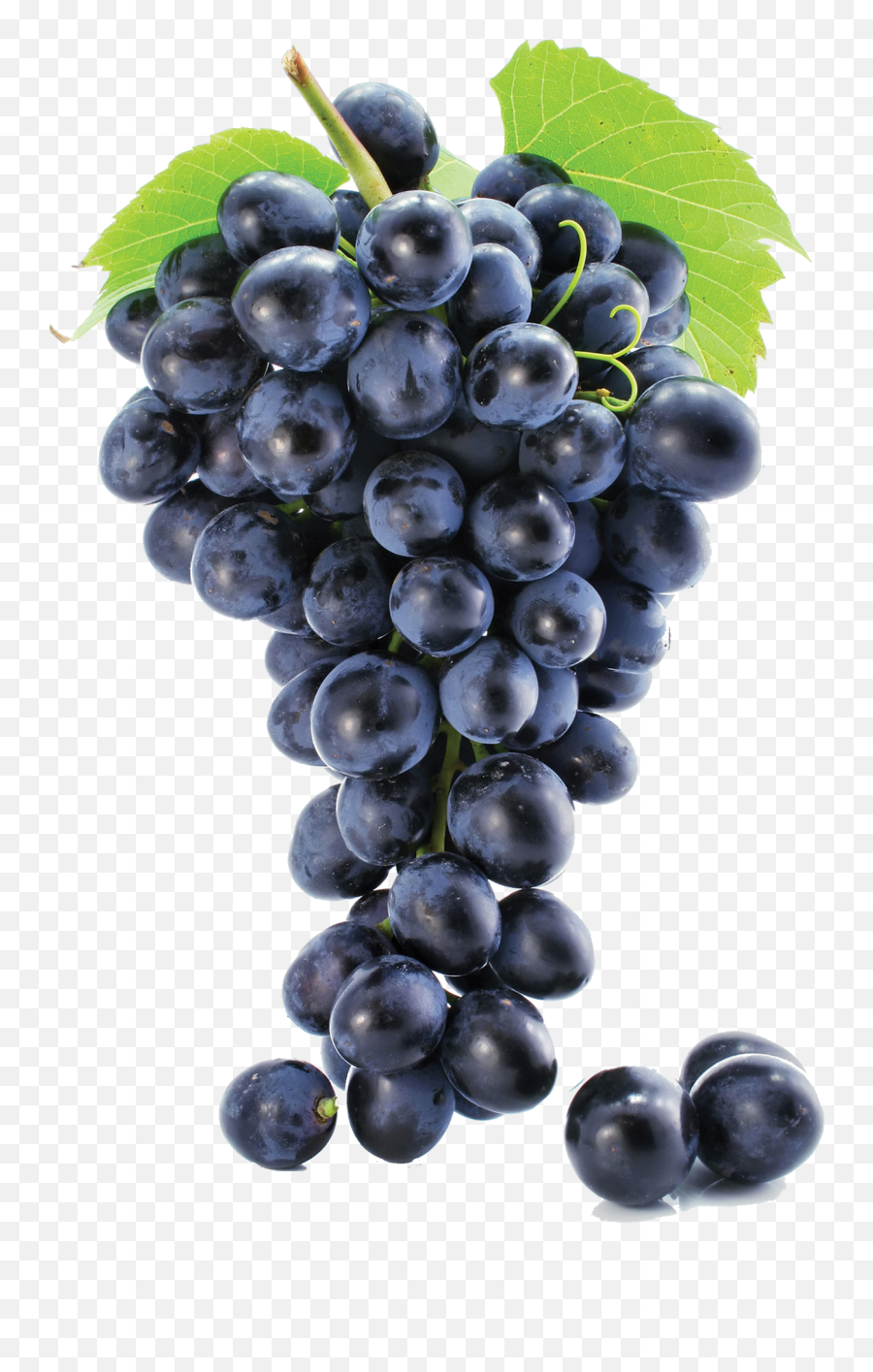 Seedless Black Grapes Png - Transparent Background Grapes Png Emoji,Black Grapes Emoji