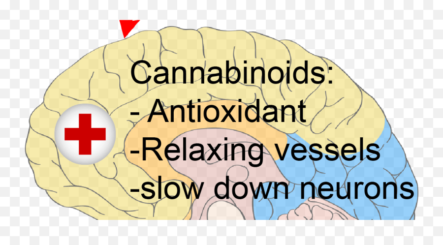 Does Cannabis Kill Brain Cells - Factchecking The Joe Rogan Emoji,Emotions For Weed