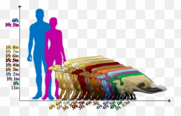 Ramora Weyr - U003e Dragon Information Emoji,Dragon Riders And Dragons Emotions