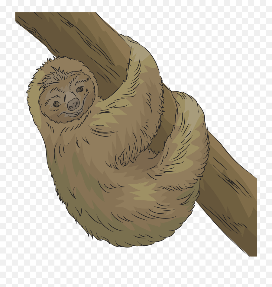 Sloth Clipart - Pygmy Sloth Emoji,Is There A Sloth Emoji