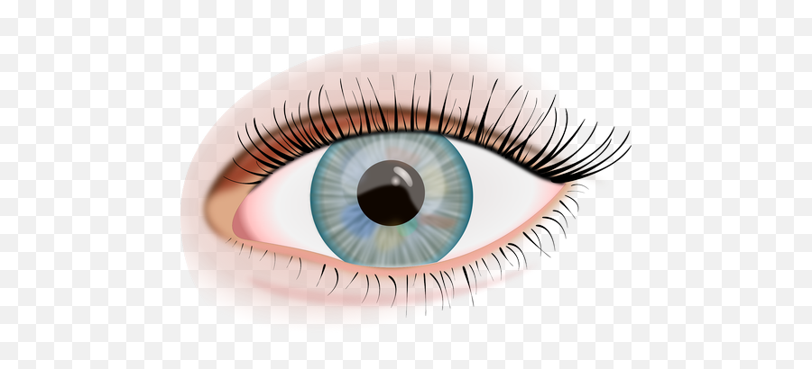 Free Photos Green Leering Eye Search - Human Blue Eye Clipart Emoji,Leering Emoticon