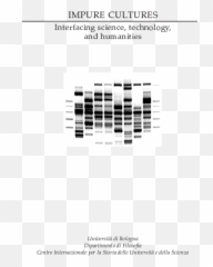 Impure Cultures - Vertical Emoji,Marco 32 Emotion Usato