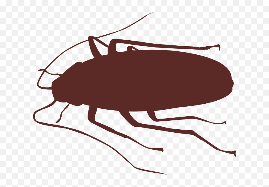 Cockroach Insect Silhouette - Roach Png Download 730588 Transparent Cockroach Silhouette Png Emoji,Cockroach Emoji