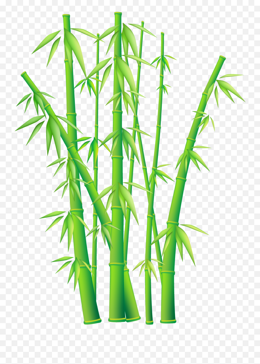 Tree Bamboo Green Sticker - Bamboo Png Emoji,Bamboo Emoji