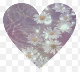 Daisy Png Tumblr - Aesthetic Daisy Emoji,Sweet--emotion Tumbmr