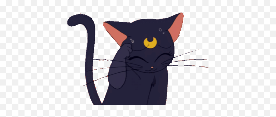 Top Cry Cat Stickers For Android U0026 Ios Gfycat - Sailor Moon Png Gif Emoji,Black Cat Emoji