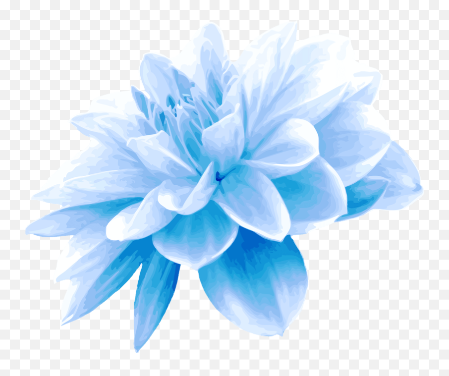 Blue Flower Png Picture - Transparent Light Blue Flower Png Emoji,Blue Flower Emoji