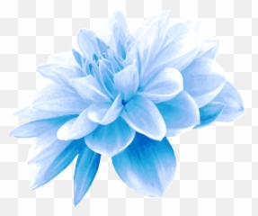 Blue Flower Png Picture - Transparent Light Blue Flower Png Emoji,Blue Flower Emoji