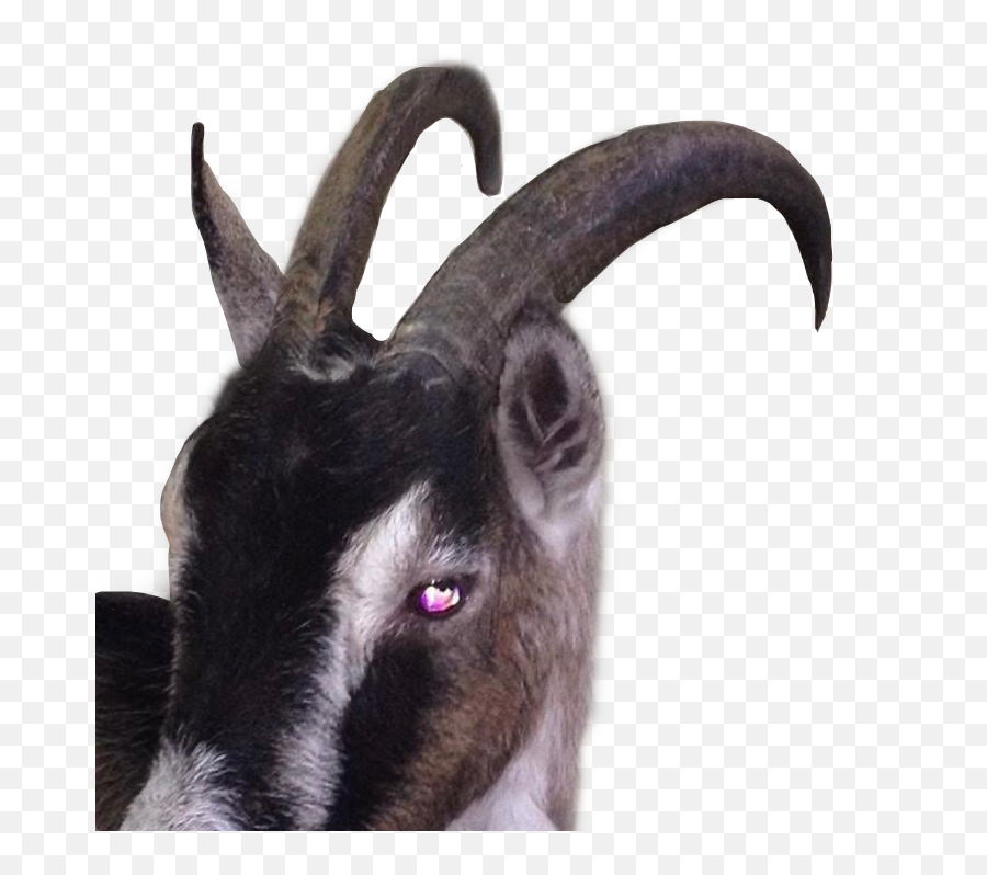 Goat 666 Edgy Edgyaesthetic Sticker By - Scary Goat Aesthetic Emoji,Goat Emoji