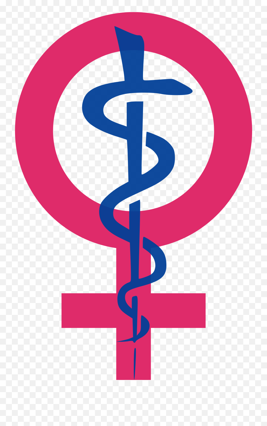 Womenu0027s Health Icon - Womenu0027s Health Symbol Clipart Full Womens Health Icon Emoji,What Is The Emoji For Vagina