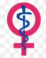 Womenu0027s Health Icon - Womenu0027s Health Symbol Clipart Full Womens Health Icon Emoji,What Is The Emoji For Vagina
