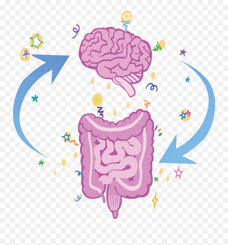 A Gut Feeling - Brain Emoji,The Biology Of Emotions