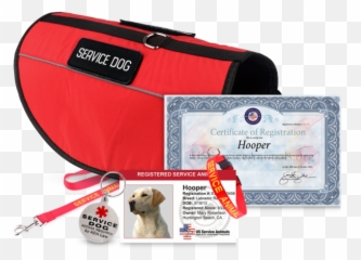 Service Dogs Therapy Dogs Esas Emoji,Dogs Display Human Emotions