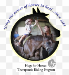 Hugs For Horses Therapeutic Riding - Halter Emoji,Emotion Horse Rider Metaphor