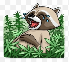 Criminal Raccoon Stickers - Criminal Raccoon Sticker Emoji,Raccoon Emoji Icon