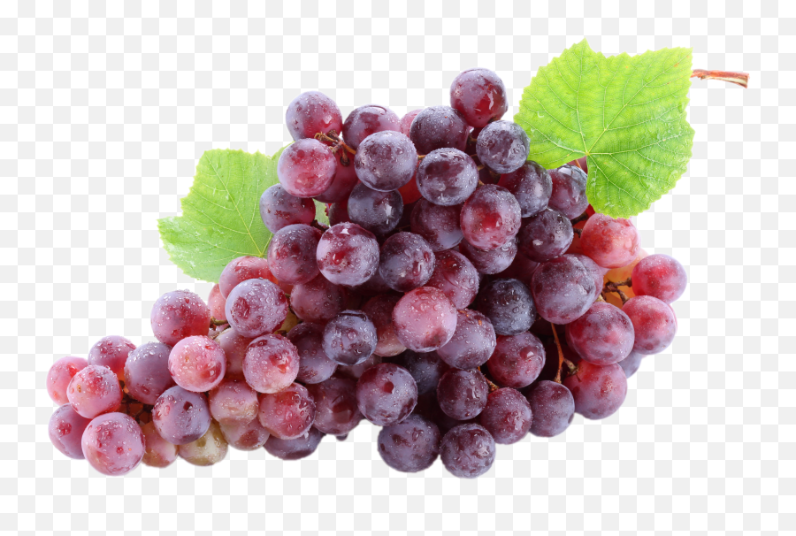 Borgo Giulia - Single Red Grape Fruits Emoji,Grape Emoticon