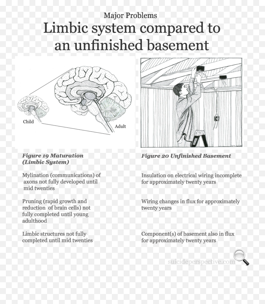 The Suicidal Brain Suicide Perspective Jimmy Powell - Informacion De La Primavera Emoji,Emotions And Behavior