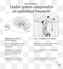 The Suicidal Brain Suicide Perspective Jimmy Powell - Informacion De La Primavera Emoji,Emotions And Behavior