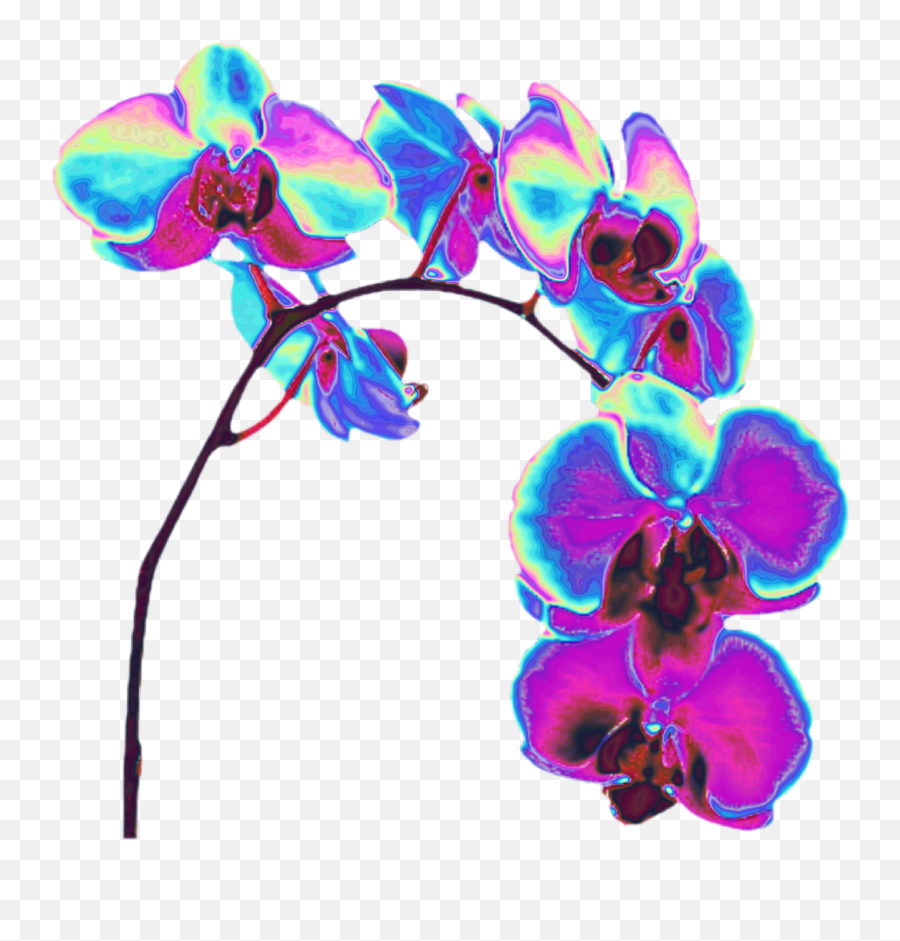 Orchid Flower Holo Holographic Sticker - Vaporwave Holographic Flower Png Emoji,Orchid Emoji