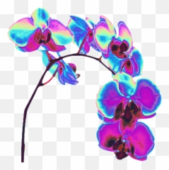 Orchid Flower Holo Holographic Sticker - Vaporwave Holographic Flower Png Emoji,Orchid Emoji