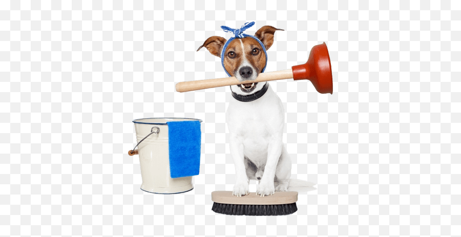 Services We Provide - Poooh Busters Calgary Cleaner Dog Emoji,Jack Russell Emoji