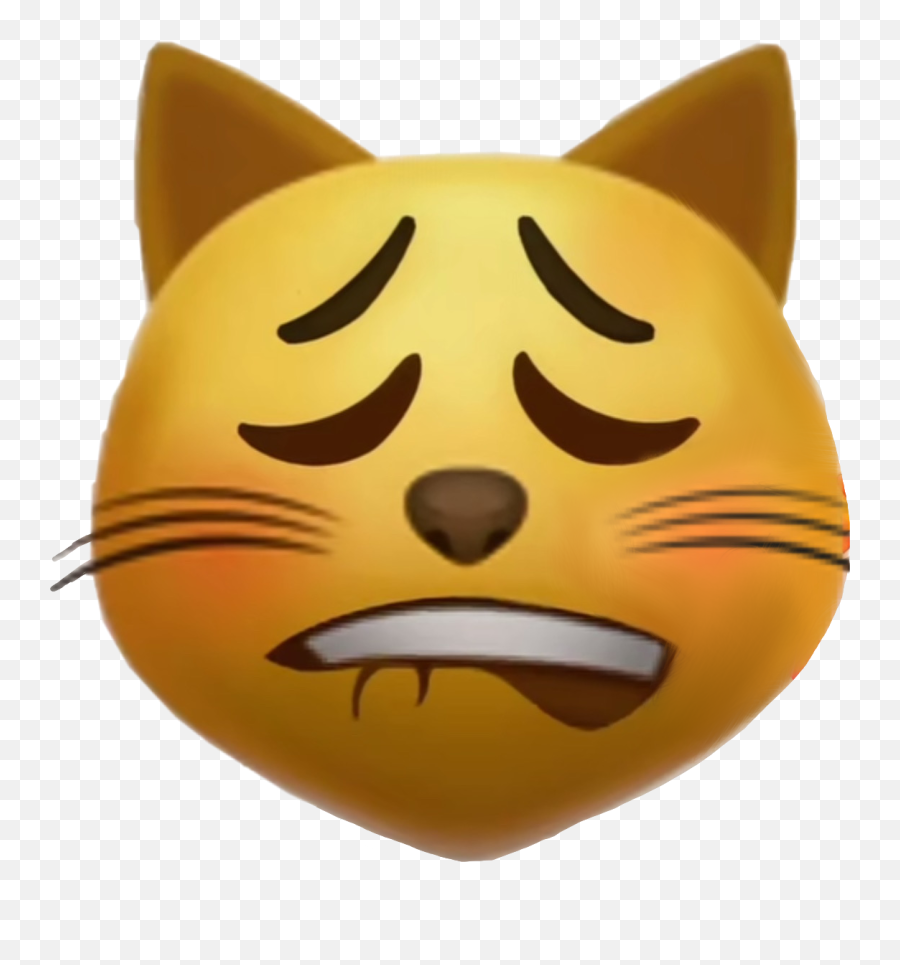 Lip Biting Emoji Iphone - Lip Bite Cat,Dirty Message In Emojis