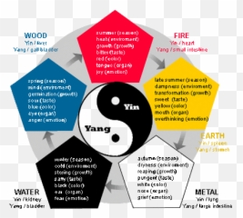 What Are Some Chinese Traditions And Customs That Someone - Yin Elements Emoji,Cold Emotion
