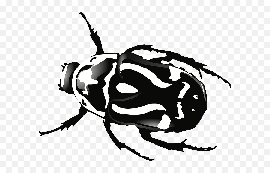 Free Image On Pixabay - Beetle Bug Black White Insect Beetle Clipart Emoji,Windows 7 Black And White Emojis
