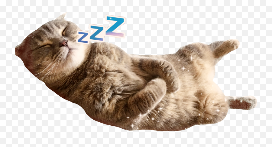 Aww Sticker - Domestic Cat Emoji,Cat And Zzz Emoji