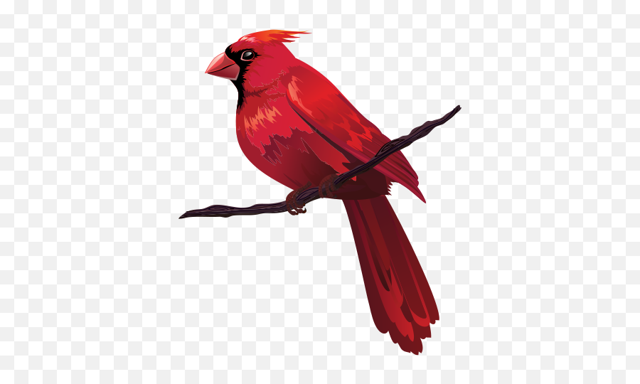 Download Hd Bird Euclidean Vector Red - Transparent Background Cardinal Clip Art Emoji,Cardinal Bird Facebook Emoticon