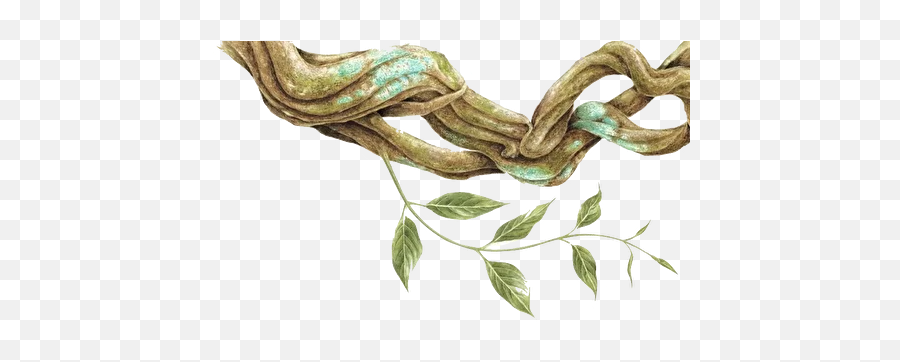 Ayahuasca And Kambo Retreats In Spain And Portugal - Ayahuasca Vine Drawing Emoji,Pictures That Instile Emotion