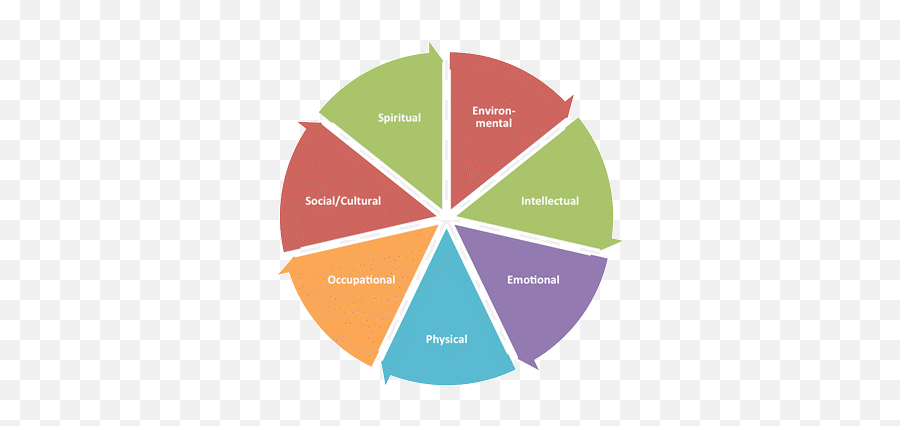 Wellness Vision And Goal Setting - Disaster Recovery Plan Elements Emoji,Emotion Wheel Pdf