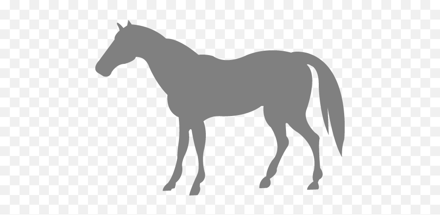Gray Horse 4 Icon - Free Gray Animal Icons Blue Horse Icon Png Emoji,Horses Emoticon