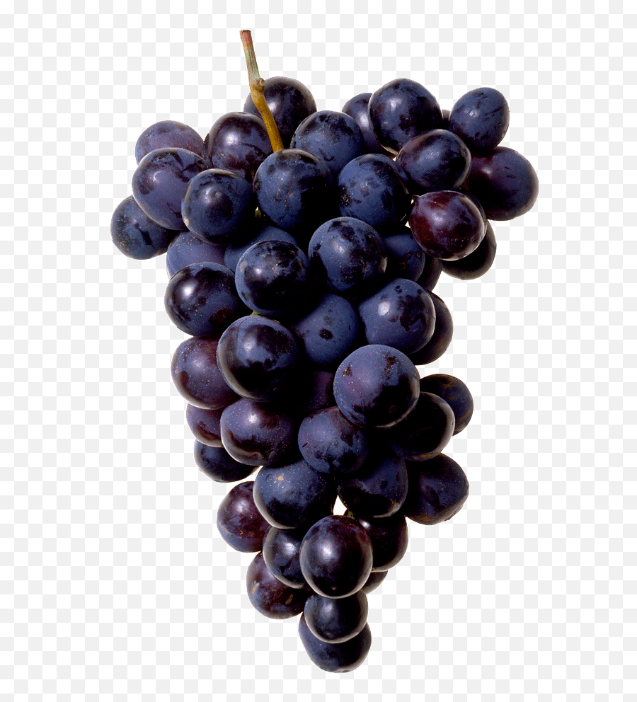 Black Grapes Png Image - Transparent Background Grapes Png Emoji,Black Grapes Emoji