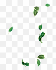 Leaf Green Tree - Falling Leaves Png Download 14001400 Transparent Falling Green Leaves Png Emoji,Fall Leaf Emoji