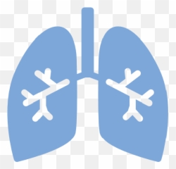 Download Freeman Emojis Freeman Health System,Large Circle Emoji