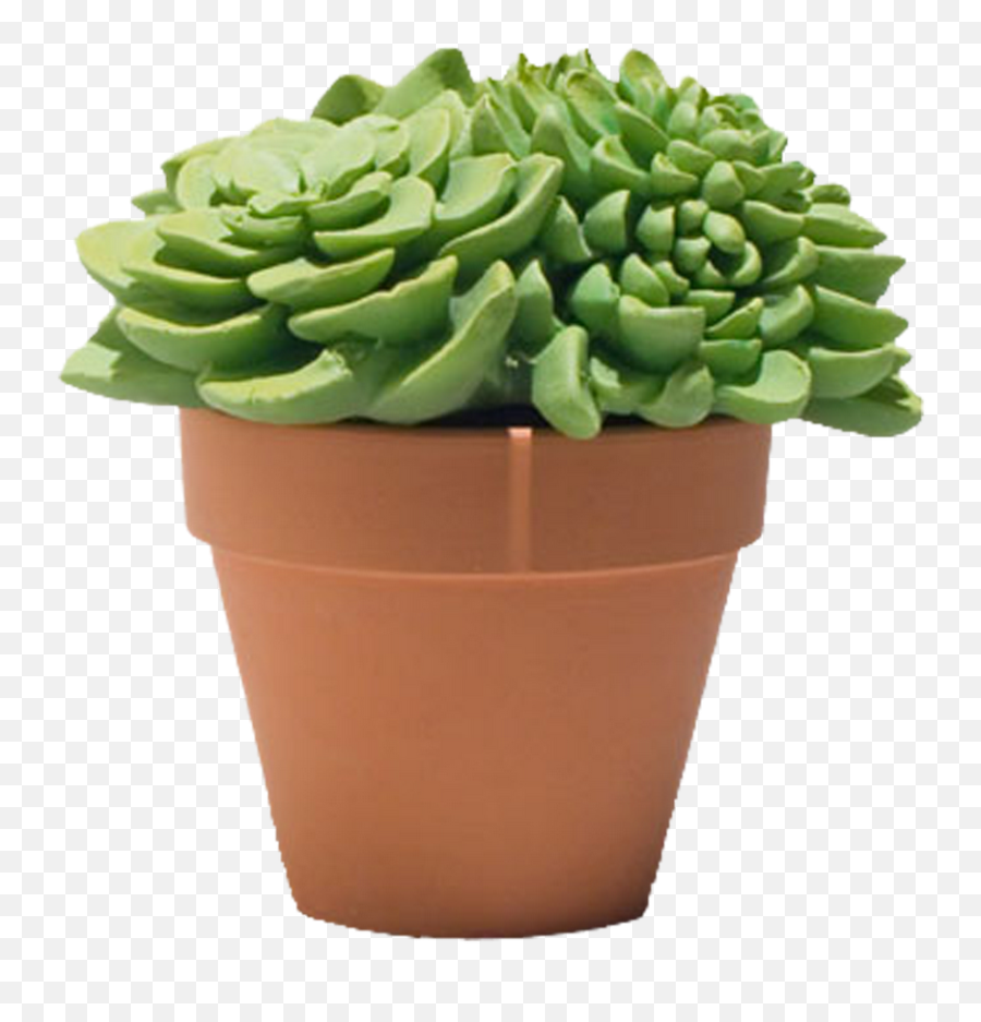 Green Plant In The Brown Pot Clipart Free Image Download Emoji,Plant Emoji In Pot