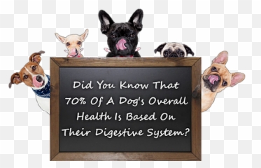 Dog Probiotic - Dog Supply Emoji,Dog Emotion And Cognition