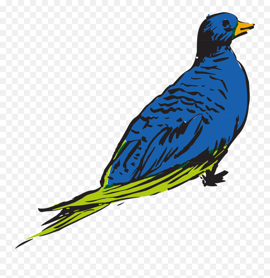 Httpswwwpicpngcomwhite - Birdduckwingslandingpng Clip Art Emoji,Baby Bird Egg Emoji