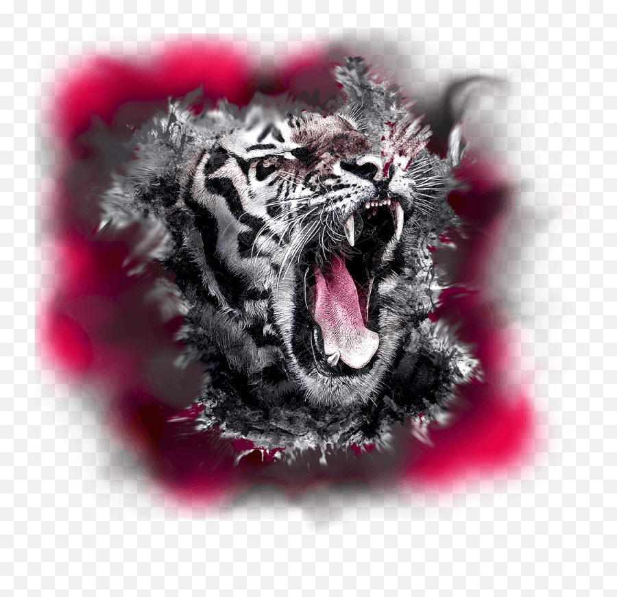 Vfx Effects Png Vfx For Motion Will Teach You The Art And - White Tiger Roar Emoji,Skype Aot Emoticons