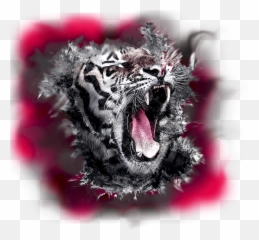 Vfx Effects Png Vfx For Motion Will Teach You The Art And - White Tiger Roar Emoji,Skype Aot Emoticons