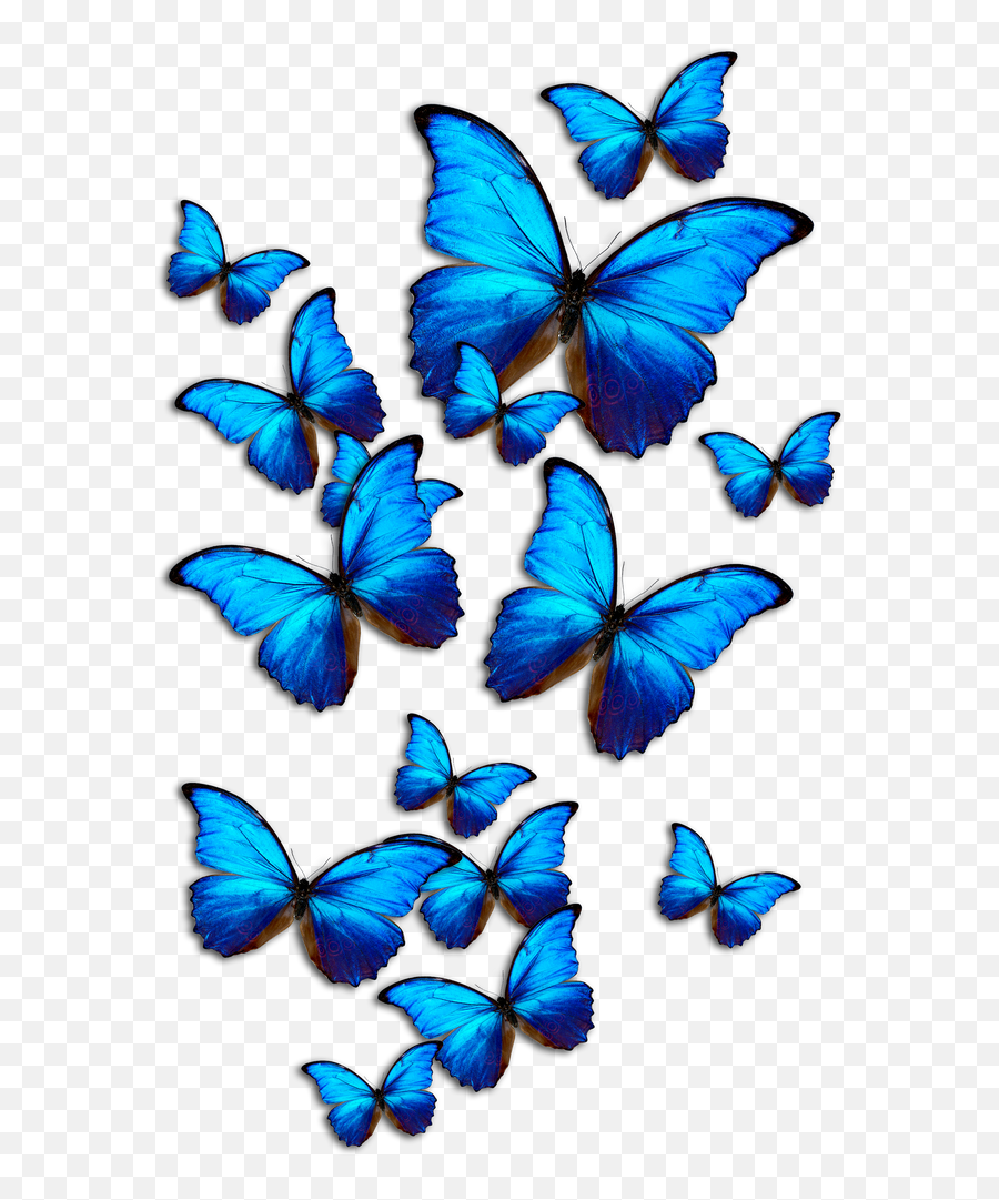 44 Tavalod Ideas Butterfly Drawing Butterfly Art - Girly Emoji,Free Butterfly Emojis