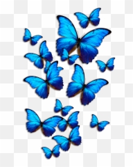 44 Tavalod Ideas Butterfly Drawing Butterfly Art - Girly Emoji,Free Butterfly Emojis