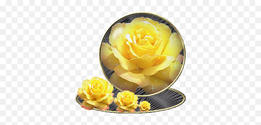 Les Roses - Page 29 Yellow Rose Flower Yellow Roses Flower Emoji,Yellow Rose Emoji