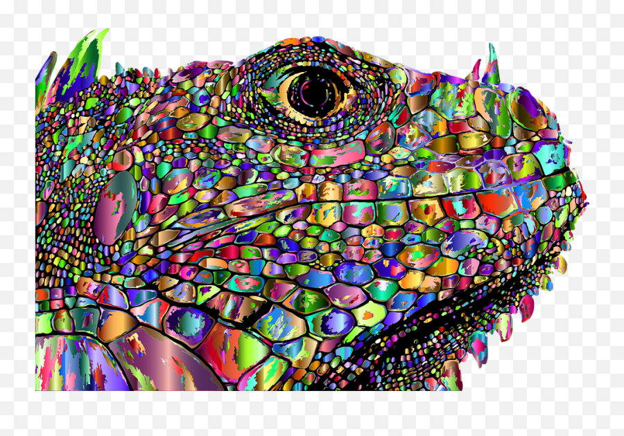 Free Photo Psychedelic Iguana Nature Animal Surreal Lizard Emoji,Psychedelic Sitting Emotion Pain