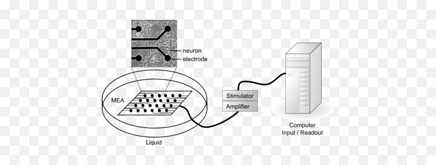 Brain Machine Interface Research Emoji,Biphasic Model Of Emotion